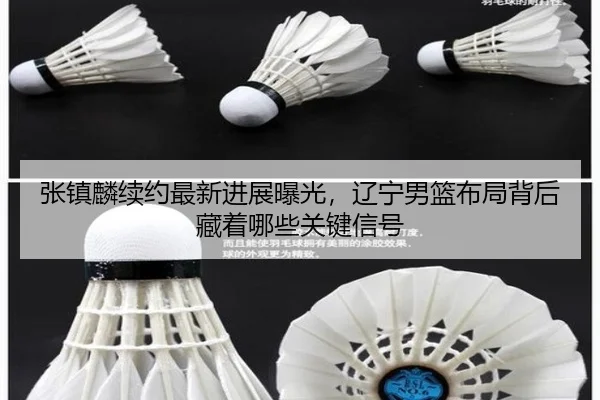 张镇麟续约最新进展曝光，辽宁男篮布局背后藏着哪些关键信号